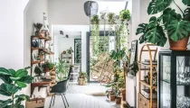 What Are the Best Ways to Decorate with Houseplants?